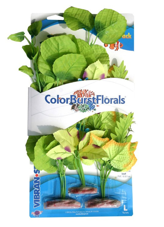 3 count Blue Ribbon Vibran-Sea Color Burst Florals Broad Leaf Flowering Cluster Pack