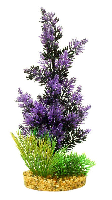 1 count Blue Ribbon Vibran-Sea Color Burst Florals Gravel Base Pacifica Plant