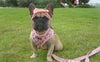 BUNDLE: Pupshake Pink Adjustable Harness, Leash and Poop Bag Bundle