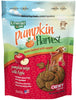 6 oz Emerald Pet Pumpkin Harvest Oven Baked Dog Treats with Apple