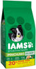 IAMS ProActive Health Minichunks Dog Food 7 lb