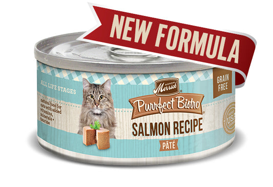 MERRICK CAT PURRFECT BISTRO SALMON PATE 3OZ (Case of 24)