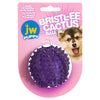 JW Pet Bristlee Cactus Ball Puppy Toy Puppy