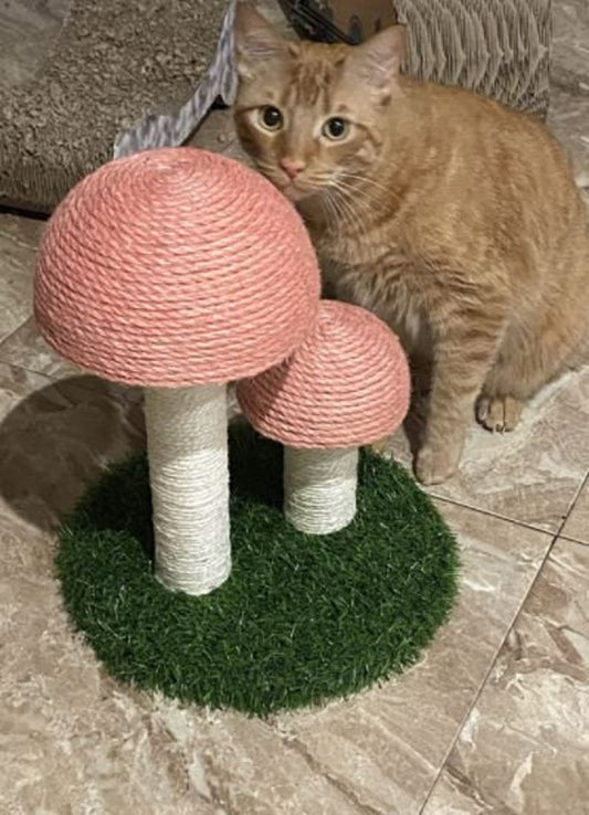 Cat Scratching Post, Mushroom Cat Tree, Cute Cat Tree, Cat Scratcher Condo, Cat Climbing Tree, Cat Tree Modern, Cat Tree Tower