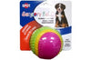 Spot Sensory Ball Dog toy Assorted 3.25 in Medium