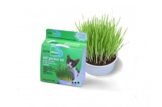 Van Ness Plastics Pureness Oat Garden Kit 4 oz