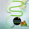 Extension-Type Parrot Bird Leash Flying Training Rope Straps Parrot Cockatiels Starling Budgie Birds Supplies