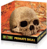 Exo Terra Terrarium Primate Skull Decoration