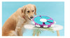 Dog Puzzle Toys Increase IQ Interactive Puppy Dog Food Dispenser Pet Dogs Training Games Feeder For Puppy Medium Dog Bowl Dog Puzzle Toys Increase IQ Interactive Puppy Dog Food Dispenser P - Super-Petmart