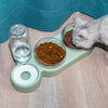 Pet Cat Bowl Automatic Feeder Dog Cat Food Bowl With Water Fountain Double Bowl Drinking Raised Stand - Super-Petmart