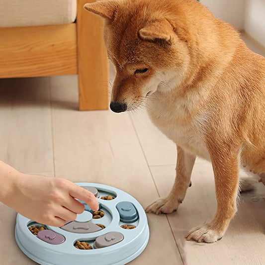 Household Pets Dog Puzzle Feeding Bowls Dog Puzzles Feeding Bowls - Super-Petmart