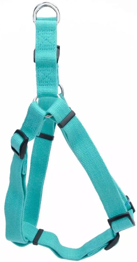 Coastal Pet New Earth Soy Comfort Wrap Dog Harness Mint Green