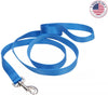 Coastal Pet Single-Ply Nylon Dog Leash Blue Lagoon