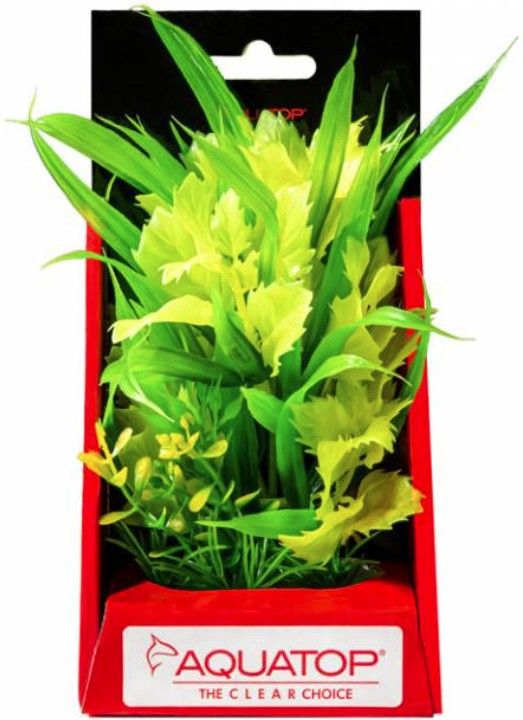 Aquatop Vibrant Passion Aquarium Plant Yellow