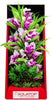 Aquatop Vibrant Garden Aquarium Plant Violet