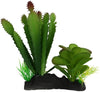 Komodo Succulent and Cactus Habitat Ornament