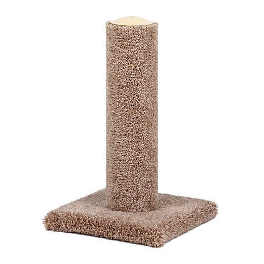 North American Urban Cat Economy Scratching Post