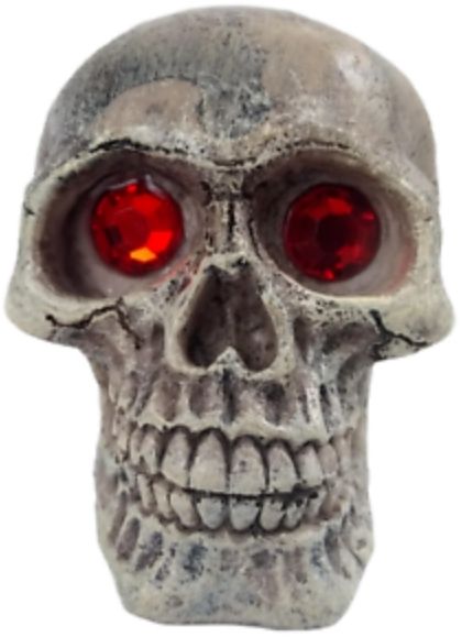 Penn Plax Deco-Replicas Skull Gazer Ornament Assorted Styles