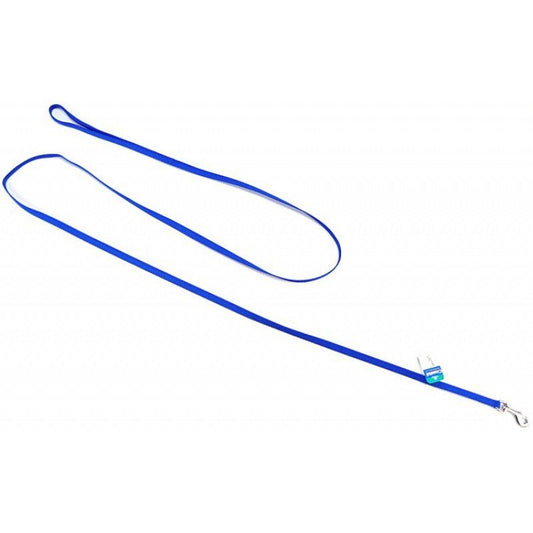 Coastal Pet Nylon Lead Blue