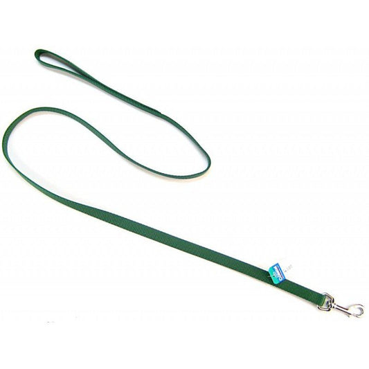 Coastal Pet Nylon Lead Hunter Green