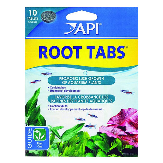 API Root Tabs New