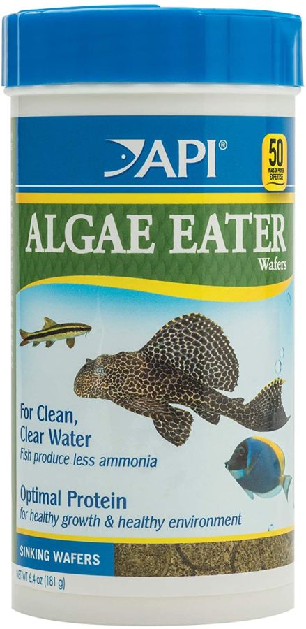 API Algae Eater Premium Algae Wafers