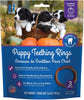 N-Bone Puppy Teething Ring - Pumpkin Flavor