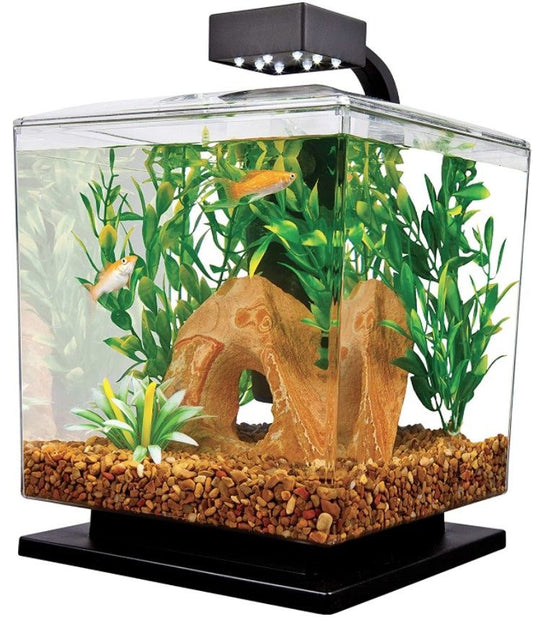 Tetra Cube Aquarium Kit with LED Lighting