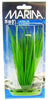 Marina Hairgrass Plant