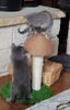 Cat Scratching Post, Mushroom Cat Tree, Cute Cat Tree, Cat Scratcher Condo, Cat Climbing Tree, Cat Tree Modern, Cat Tree Tower