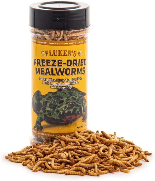 Flukers Freeze-Dried Mealworms