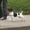 PetSafe Deluxe Easy Walk Steel Dog Harness Black; Ocean Small