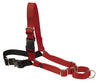 PetSafe Easy Walk Dog Harness Black; Red Medium