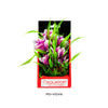 Aquatop Vibrant Garden Plant Violet; 1ea-6 in