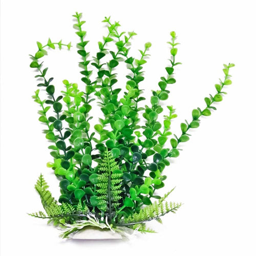 Aquatop Bacopa Aquarium Plant w-Weighted Base Green; 1ea-6 in