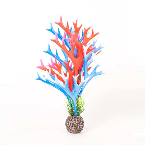 Aquatop Staghorn Aquarium Plant Blue, Red 8 in