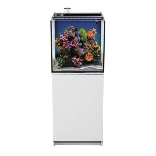 Aquatop Recife ECO Aquarium Kit with Stand White, Clear, 1ea/40 gal