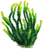 Aquatop Green Aquarium Plant with Light Tips