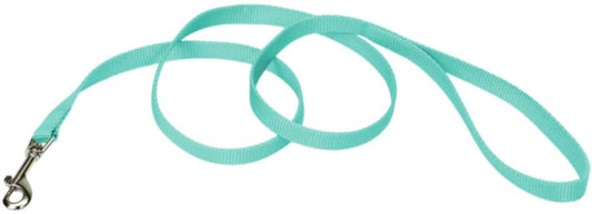 Coastal Pet Single-ply Teal Nylon Dog Lead