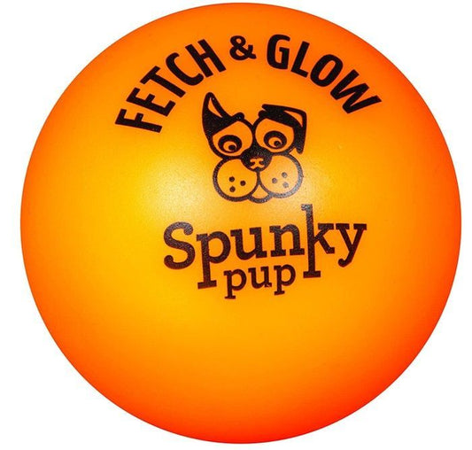 Spunky Pup Fetch and Glow Ball Dog Toy Assorted Colors