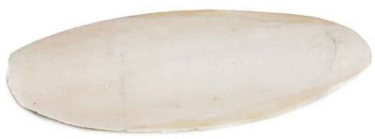 Prevue Cuttlebone Birdie Basics Large 6 Inch Long