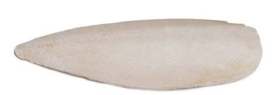 Prevue Cuttlebone Birdie Basics Large 6 Inch Long