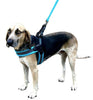 Sporn Easy Fit Dog Harness Blue
