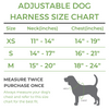 Sweet Treats Dog Harness & Leash Set - Super-Petmart