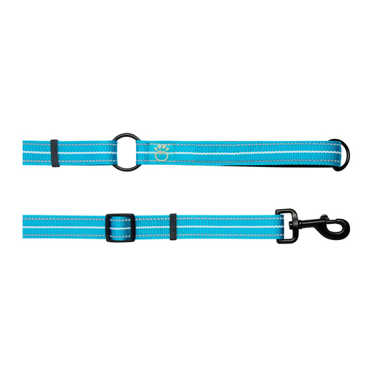 Reflective Leash - EEZY-6 - Neon Blue