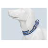 Truelove Embroider Neoprene Pet Dog Collar Nylon Adjustable Dog Collars For Big Small Dogs Running Reflective Chihuahua Bitpulls - Super-Petmart