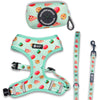 Sweet Treats Dog Harness & Leash Set - Super-Petmart