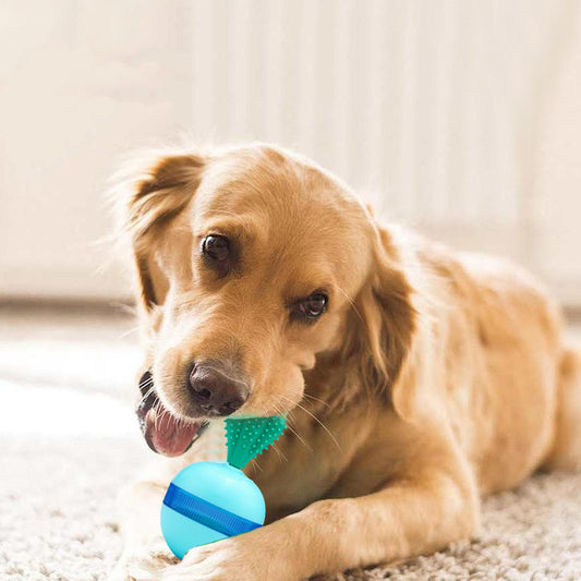 Pet Does Not Fall Down The Leakage Of Food Ball Toys - Super-Petmart