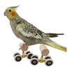 2Pcs Parrot Trick Tabletop Mini Roller Ice Skates for Small Medium Parrots Bird Intelligence Training Toy for Parrots Birds