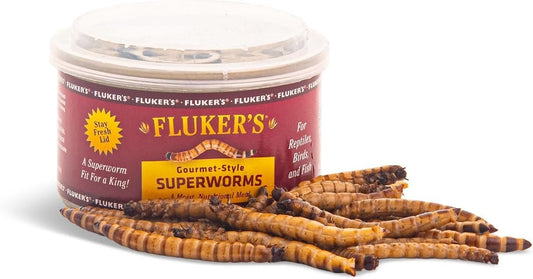 4.8 oz (4 x 1.2 oz) Flukers Gourmet Canned Superworms for Reptiles